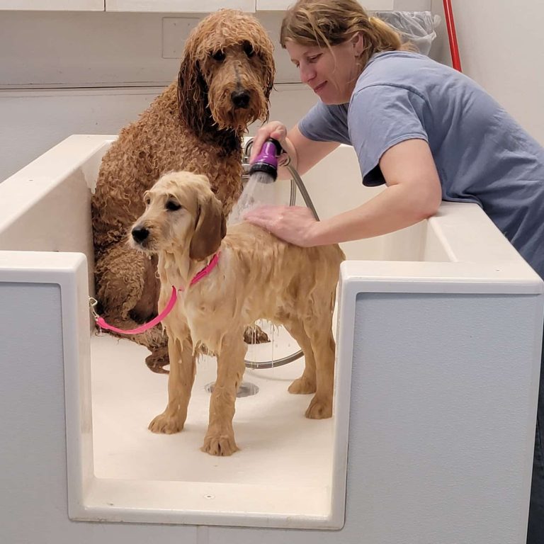dog grooming service in spring grove, spring grove dog grooming service, dog grooming in spring grove